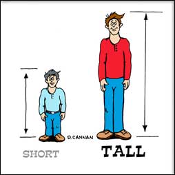 tall